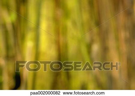 material, materials, texture, textures, blurred, background, backgrounds View Large Photo Image Stock Image - material, materials, texture, textures, blurred, background, backgrounds. Fotosearch