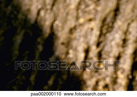 material, materials, texture, textures, blurred, background, backgrounds View Large Photo Image Stock Image - material, materials, texture, textures, blurred, background, backgrounds. Fotosearch