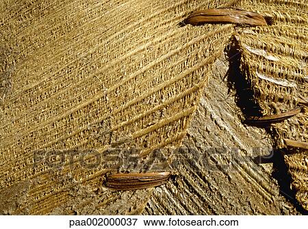 material, materials, texture, textures, pattern, patterns, background View Large Photo Image Stock Photo - material, materials, texture, textures, pattern, patterns, background. Fotosearch