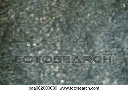 material, materials, texture, textures, blurred, background, backgrounds View Large Photo Image Stock Photo - material, materials, texture, textures, blurred, background, backgrounds. Fotosearch