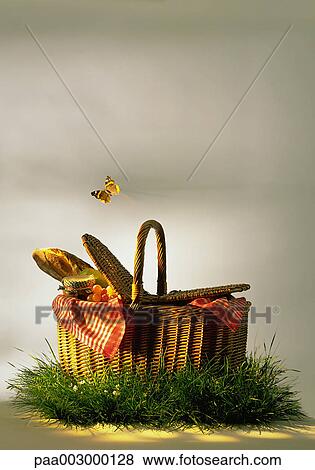basket, baskets, picnic, delicatessen, product, produce, foodstuff View Large Photo Image Stock Photo - basket, baskets, picnic, delicatessen, product, produce, foodstuff. Fotosearch
