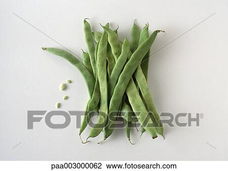 Broad bean pods View Large Photo Image Stock Image - Broad bean pods. Fotosearch