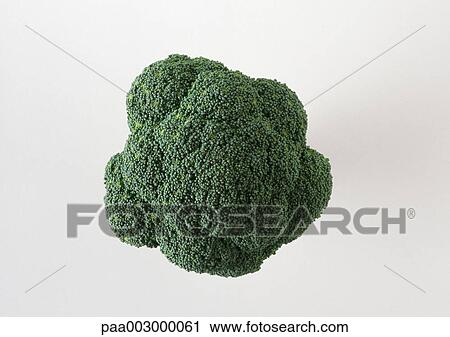 Broccoli, high angle view View Large Photo Image Stock Image - Broccoli, high angle view. Fotosearch
