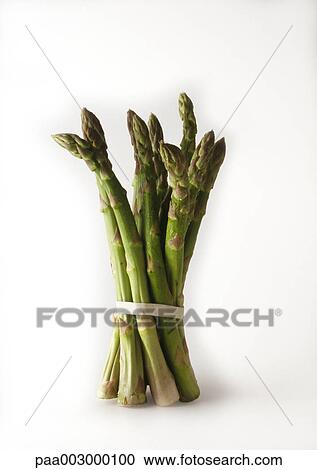 Bundle of asparagus View Large Photo Image Stock Image - Bundle of asparagus. Fotosearch