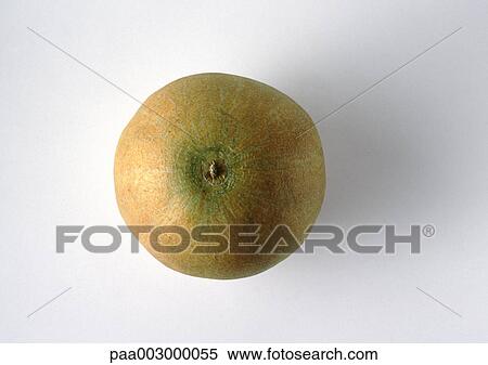 Cantaloupe, high angle view View Large Photo Image Stock Photography - Cantaloupe, high angle view. Fotosearch