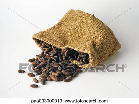 Cocoa beans spilling out of bag View Large Photo Image Stock Image - Cocoa beans spilling out of bag. Fotosearch