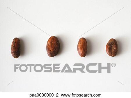 Cocoa beans View Large Photo Image Stock Image - Cocoa beans. Fotosearch