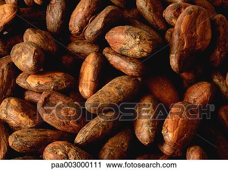 cocoa, fruit, fruits, delicatessen, product, produce, foodstuff View Large Photo Image Stock Image - cocoa, fruit, fruits, delicatessen, product, produce, foodstuff. Fotosearch