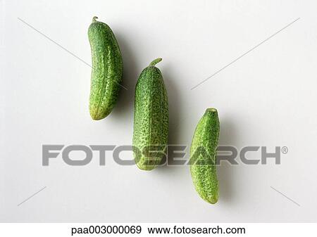 Cucumbers View Large Photo Image Stock Photo - Cucumbers. Fotosearch