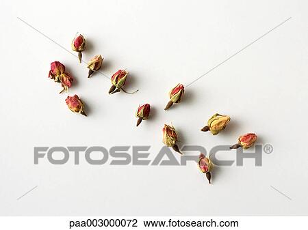 Stock Image - Dried rose buds. Fotosearch