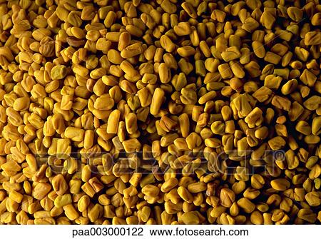 grain, delicatessen, product, produce, foodstuff, foodstuffs, food View Large Photo Image Stock Image - grain, delicatessen, product, produce, foodstuff, foodstuffs, food. Fotosearch