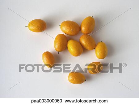Stock Image - Kumquats. Fotosearch
