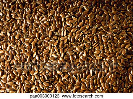 linseed, delicatessen, product, produce, foodstuff, foodstuffs, food View Large Photo Image Stock Image - linseed, delicatessen, product, produce, foodstuff, foodstuffs, food. Fotosearch