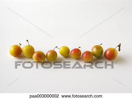 Stock Image - Mirabelle plums in line. Fotosearch
