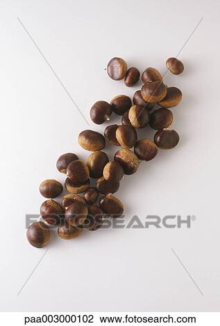 Pile of chestnuts View Large Photo Image Stock Image - Pile of chestnuts. Fotosearch