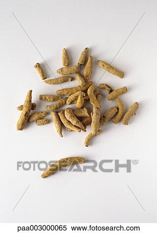 Pile of turmeric roots View Large Photo Image Stock Photography - Pile of turmeric roots. Fotosearch