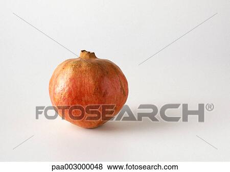 Pomegranate View Large Photo Image Stock Photo - Pomegranate. Fotosearch