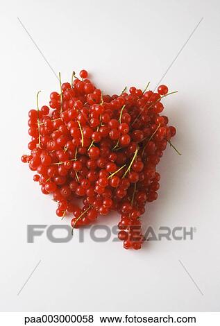 Red currants View Large Photo Image Stock Photo - Red currants. Fotosearch