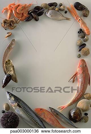 seafood, vegetable, vegetables, delicatessen, product, produce, foodstuff View Large Photo Image Stock Photograph - seafood, vegetable, vegetables, delicatessen, product, produce, foodstuff. Fotosearch