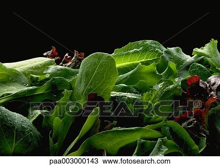 vegetable, vegetables, mixedsalad, green, delicatessen, product, produce View Large Photo Image Stock Image - vegetable, vegetables, mixedsalad, green, delicatessen, product, produce. Fotosearch