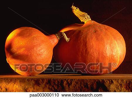 vegetable, vegetables, pumpkin, pumpkins, orange, delicatessen, product View Large Photo Image Stock Image - vegetable, vegetables, pumpkin, pumpkins, orange, delicatessen, product. Fotosearch