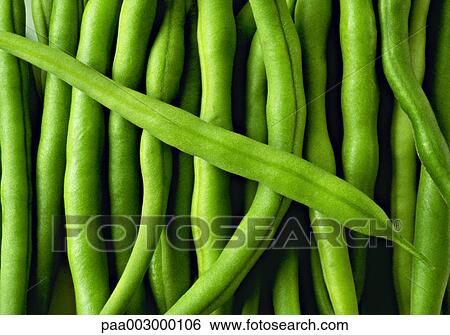 vegetable, vegetables, stringbean, green, delicatessen, product, produce View Large Photo Image Stock Photograph - vegetable, vegetables, stringbean, green, delicatessen, product, produce. Fotosearch