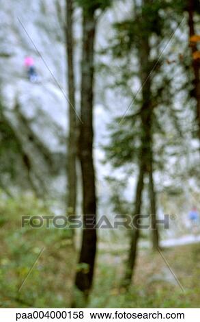 blurred, landscape, landscapes, hike, nature, vegetation, woody View Large Photo Image Stock Photo - blurred, landscape, landscapes, hike, nature, vegetation, woody. Fotosearch