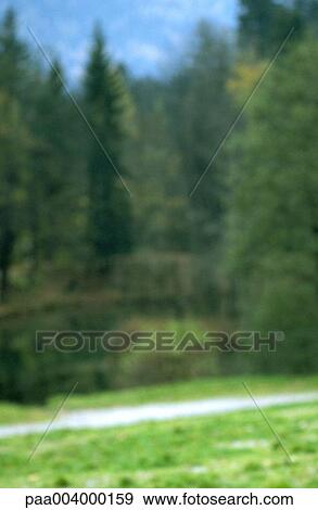 blurred, landscape, landscapes, hike, nature, vegetation, woody View Large Photo Image Stock Photo - blurred, landscape, landscapes, hike, nature, vegetation, woody. Fotosearch