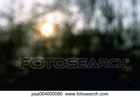 blurred, landscape, landscapes, nature, vegetation, woody, winter View Large Photo Image Stock Image - blurred, landscape, landscapes, nature, vegetation, woody, winter. Fotosearch