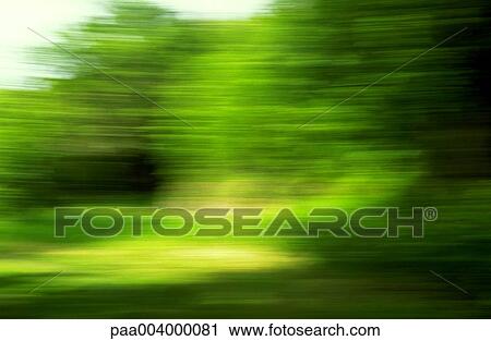 blurred, landscape, landscapes, nature, vegetation, woody, spring View Large Photo Image Stock Image - blurred, landscape, landscapes, nature, vegetation, woody, spring. Fotosearch