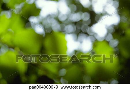 blurred, landscape, landscapes, nature, vegetation, woody, spring View Large Photo Image Stock Photo - blurred, landscape, landscapes, nature, vegetation, woody, spring. Fotosearch