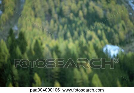 blurred, landscape, landscapes, nature, vegetation, woody, winter View Large Photo Image Stock Photograph - blurred, landscape, landscapes, nature, vegetation, woody, winter. Fotosearch