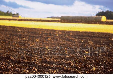 blurred, landscape, landscapes, nature, vegetation, agriculture, planting View Large Photo Image Stock Photography - blurred, landscape, landscapes, nature, vegetation, agriculture, planting. Fotosearch