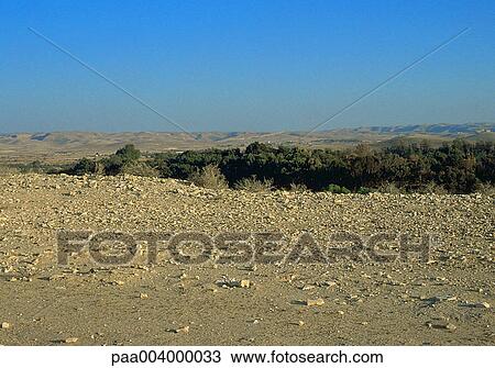 desert, landscape, landscapes, hike, nature, vegetation, dryness View Large Photo Image Stock Image - desert, landscape, landscapes, hike, nature, vegetation, dryness. Fotosearch