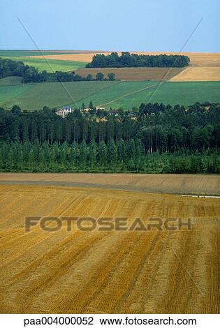 Stock Image - field, fields, landscape, landscapes, hike, nature, vegetation. Fotosearch