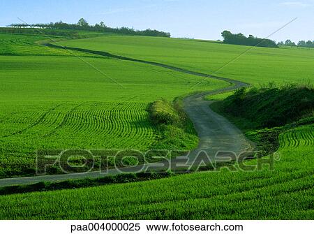field, fields, landscape, landscapes, road, roads, hike View Large Photo Image Stock Photography - field, fields, landscape, landscapes, road, roads, hike. Fotosearch