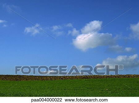 field, fields, sky, skies, cloud, clouds, landscape View Large Photo Image Stock Image - field, fields, sky, skies, cloud, clouds, landscape. Fotosearch