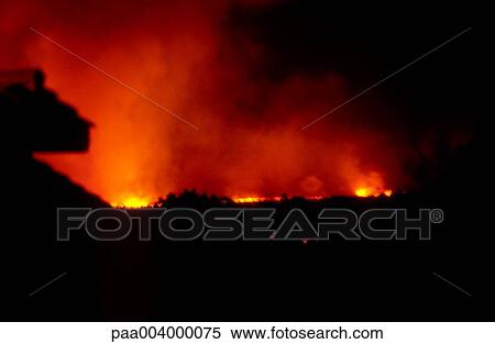 fire, forest, forests, landscape, landscapes, nature, summer View Large Photo Image Stock Photography - fire, forest, forests, landscape, landscapes, nature, summer. Fotosearch