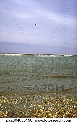 sea, landscape, landscapes, hike, nature, vegetation, summer View Large Photo Image Stock Photograph - sea, landscape, landscapes, hike, nature, vegetation, summer. Fotosearch