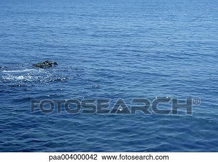 sea, landscape, landscapes, nature, summer, tourism, europe View Large Photo Image Stock Image - sea, landscape, landscapes, nature, summer, tourism, europe. Fotosearch