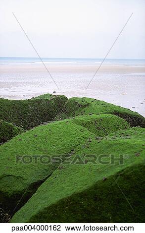 sea, rock, rocks, nature, vegetation, winter, tourism View Large Photo Image Stock Image - sea, rock, rocks, nature, vegetation, winter, tourism. Fotosearch