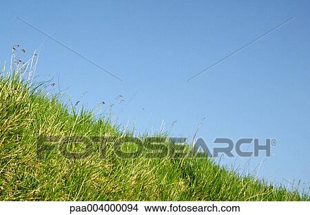 Picture - sky, skies, landscape, landscapes, meadow, meadows, mountainous. Fotosearch