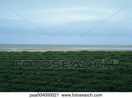 sky, skies, landscape, landscapes, beach, beaches, nature View Large Photo Image Stock Image - sky, skies, landscape, landscapes, beach, beaches, nature. Fotosearch