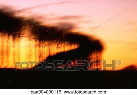 sunset, blurred, landscape, landscapes, nature, vegetation, woody View Large Photo Image Stock Photograph - sunset, blurred, landscape, landscapes, nature, vegetation, woody. Fotosearch