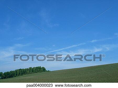 tree, trees, field, fields, sky, skies, landscape View Large Photo Image Stock Image - tree, trees, field, fields, sky, skies, landscape. Fotosearch