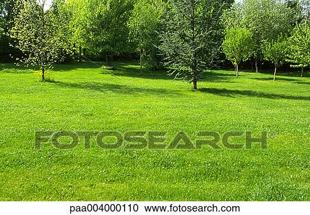 Stock Image - tree, trees, landscape, landscapes, meadow, meadows, nature. Fotosearch