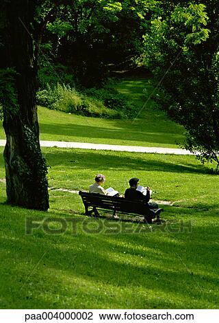 tree, trees, park, parks, person, people View Large Photo Image Stock Image - tree, trees, park, parks, person, people. Fotosearch