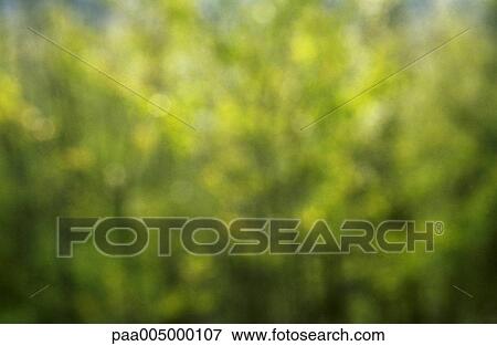 blurred, background, backgrounds, nature, vegetation, Nature, Isabelle View Large Photo Image Stock Photo - blurred, background, backgrounds, nature, vegetation, Nature, Isabelle. Fotosearch