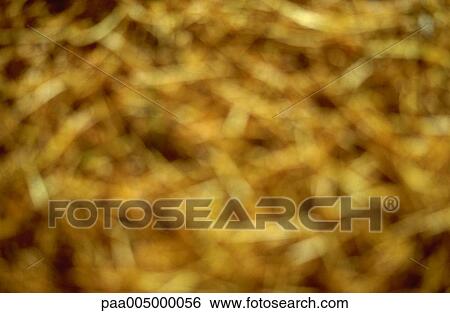 blurred, texture, textures, background, backgrounds, nature, vegetation View Large Photo Image Stock Photograph - blurred, texture, textures, background, backgrounds, nature, vegetation. Fotosearch