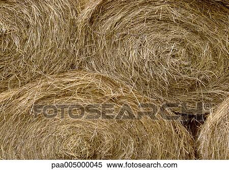 Stock Photography - hay, background, backgrounds, nature, vegetation, agriculture, planting. Fotosearch